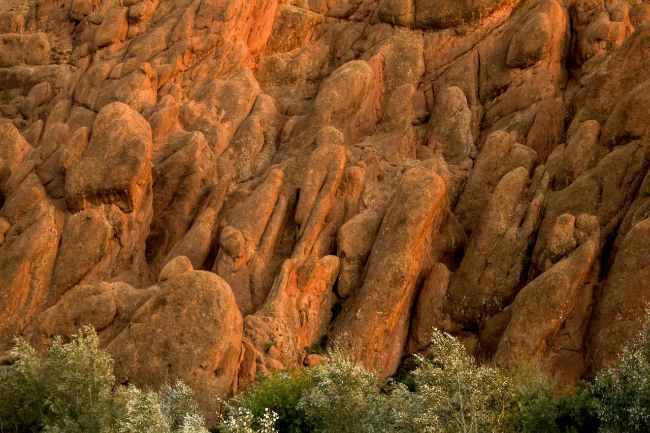 Monkey Fingers House By Fatima Mellal Otel Tinghir Dış mekan fotoğraf
