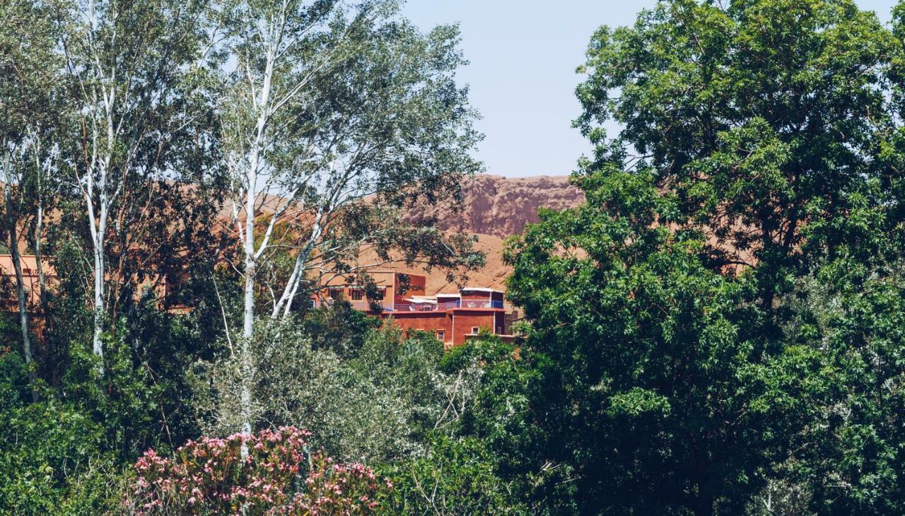 Monkey Fingers House By Fatima Mellal Otel Tinghir Dış mekan fotoğraf